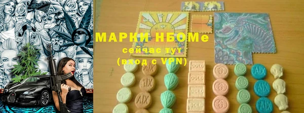 стаф Алексин