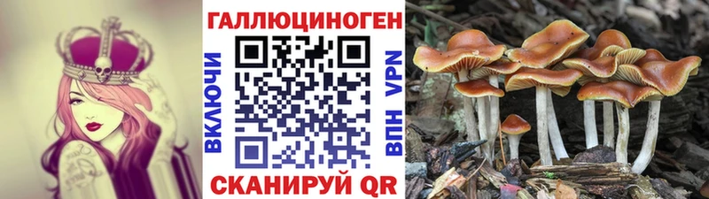 Галлюциногенные грибы GOLDEN TEACHER  omg вход  мориарти официальный сайт  Андреаполь 